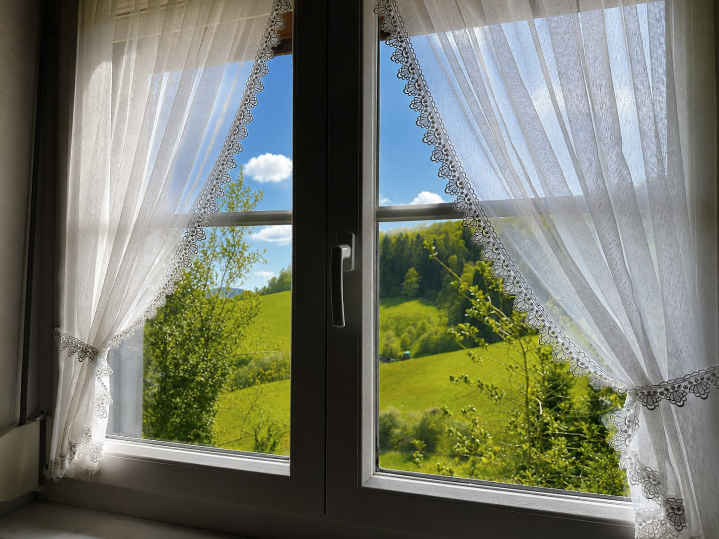 Blick durch die Spitzenvorhänge auf grüne Schwarzwaldwiesen – Ferienwohnung Zwei Linden