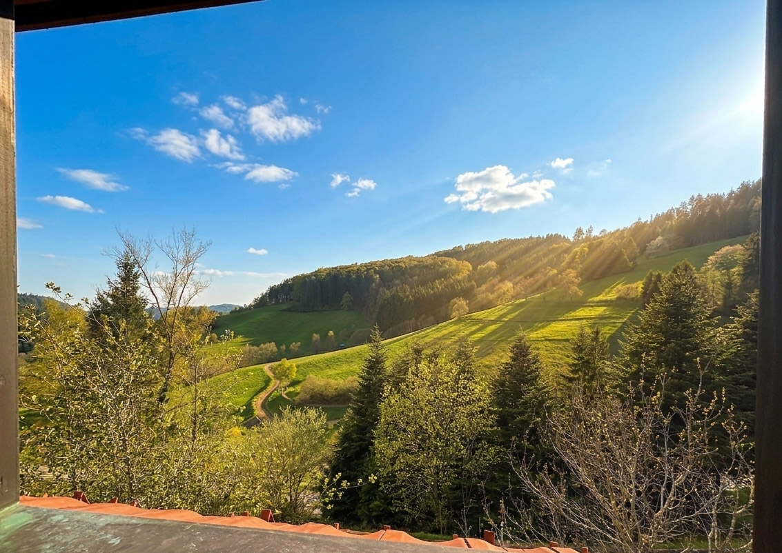 Ferienwohnung Zwei Linden – Blick auf die grünen Schwarzwaldhügel in Steinen-Endenburg