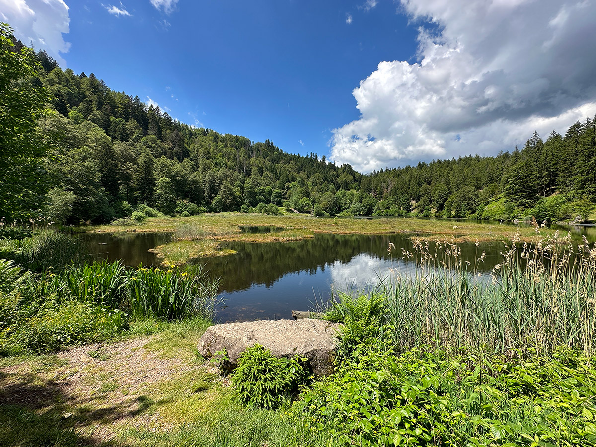 Nonnenmattweiher