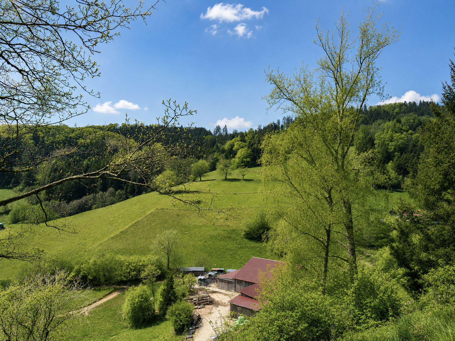 Biergartengarnitur im Garten der Ferienwohnung Zwei Linden unter alten Bäumen